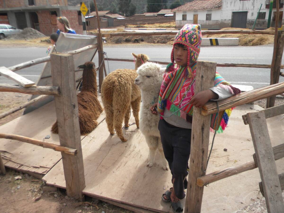 Machu Picchu 7