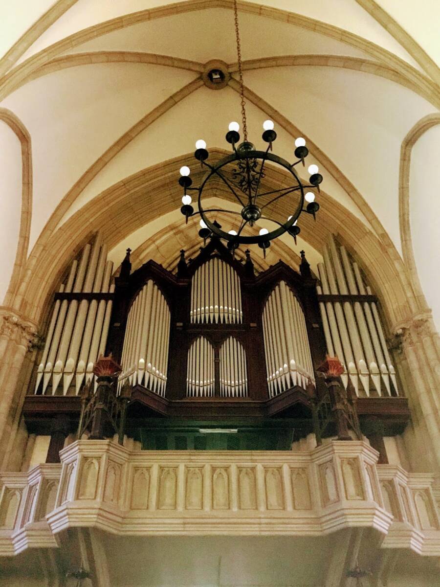 Catedral Orgao