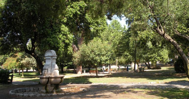 Parc Colline Du Chateau