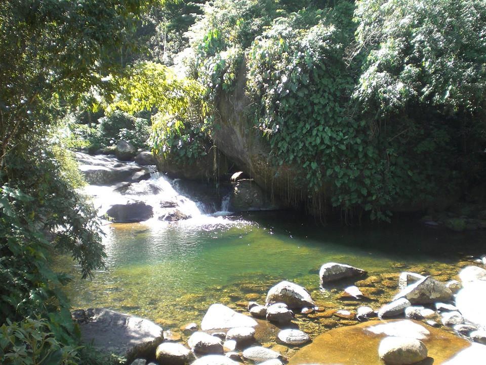 Poco Do Tarzan