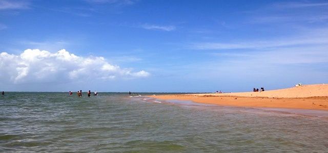Capa Porto Seguro Coroa Alta