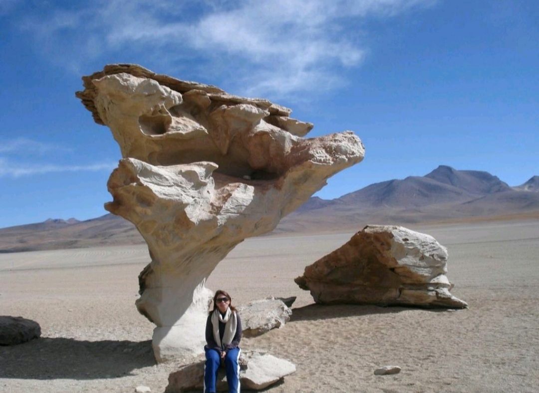 Cogumelo de Pedra