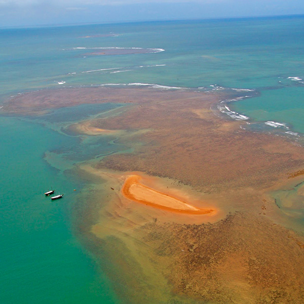 Coroa Alta