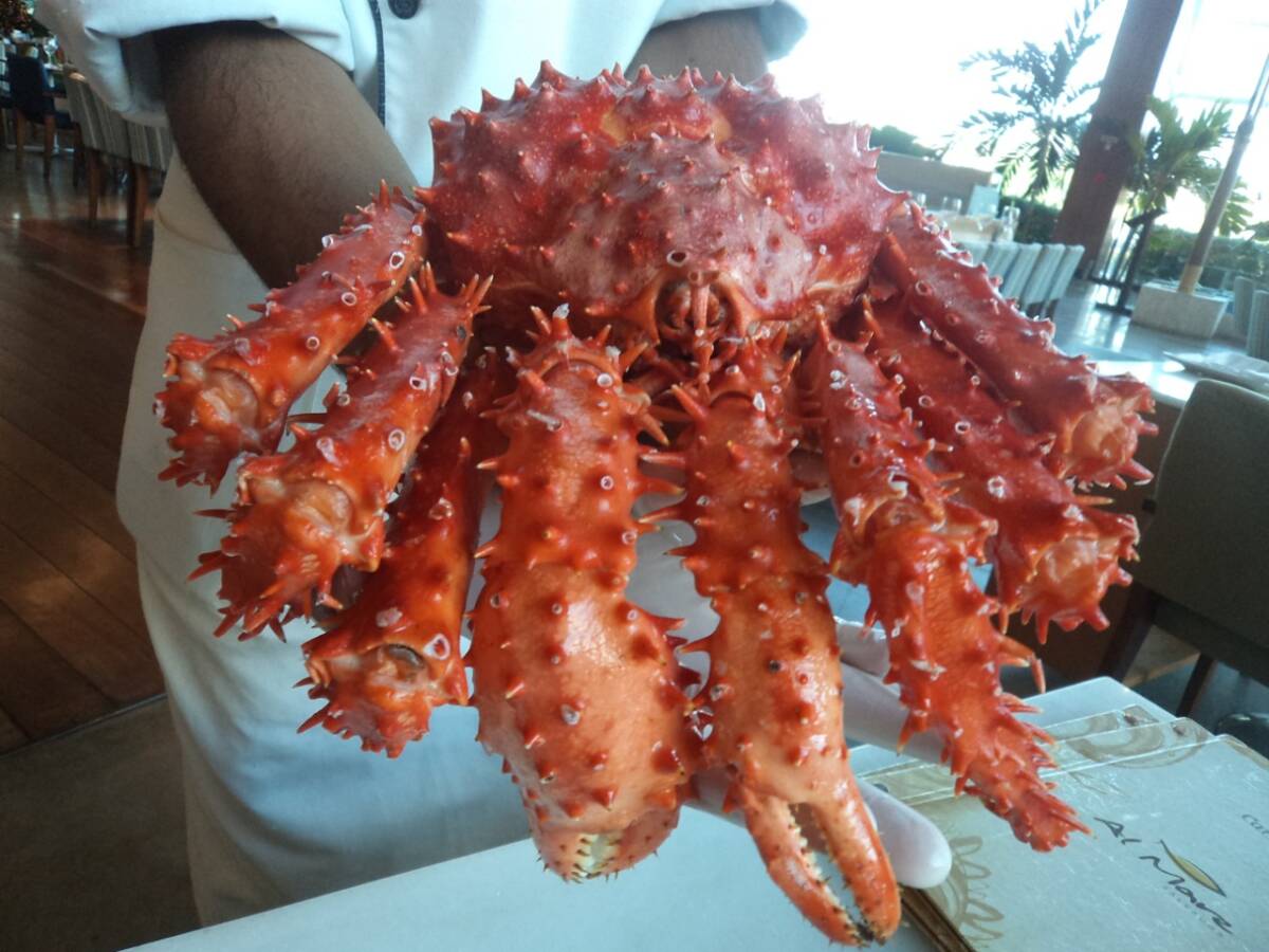 Gastronomia A Base De Frutos Do Mar Al Mare