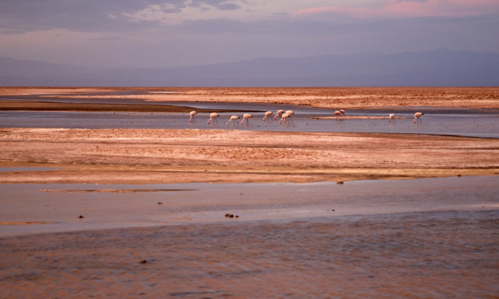 Salar De Atacama