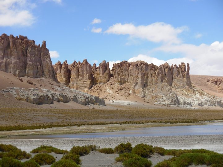 Salar De Tara 2