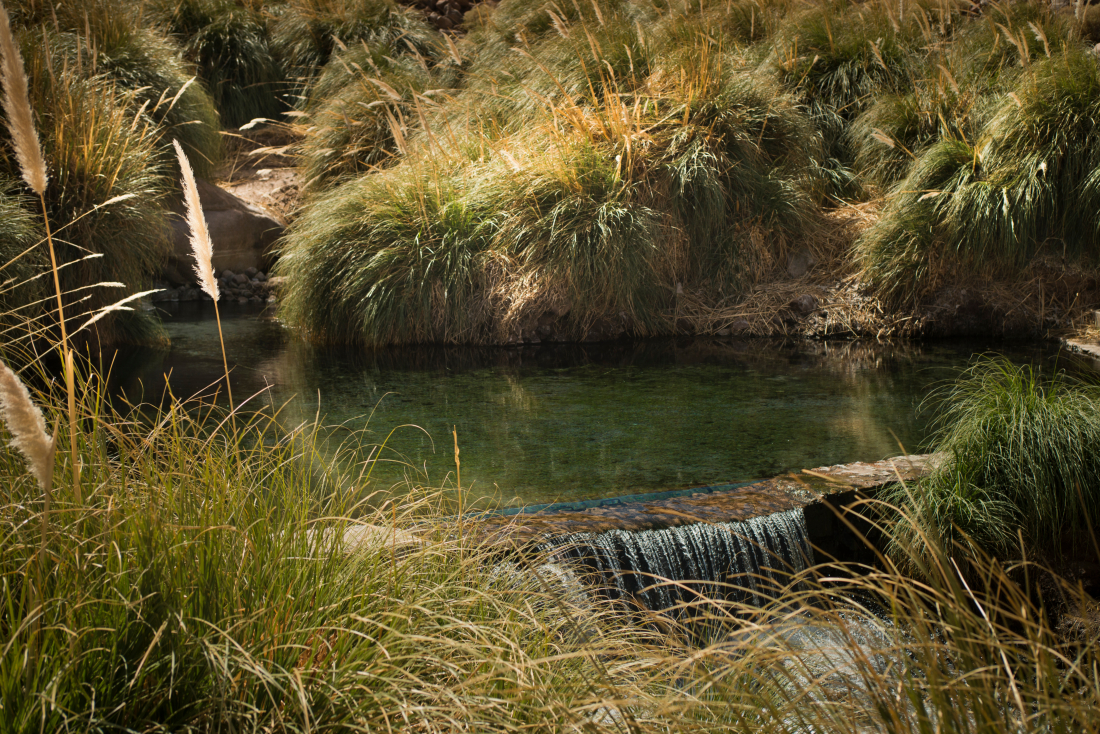Termas 3