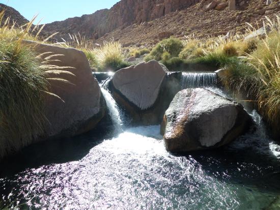 Termas
