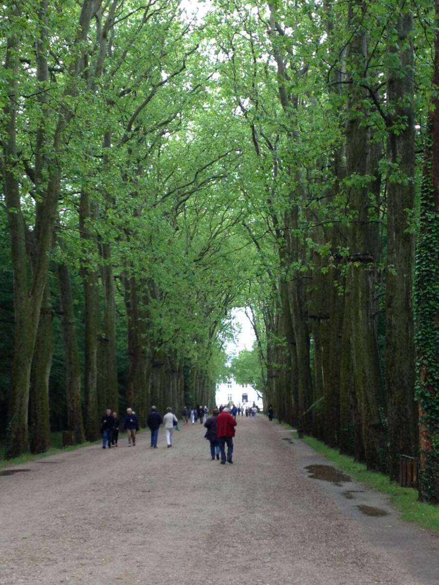 Jardins