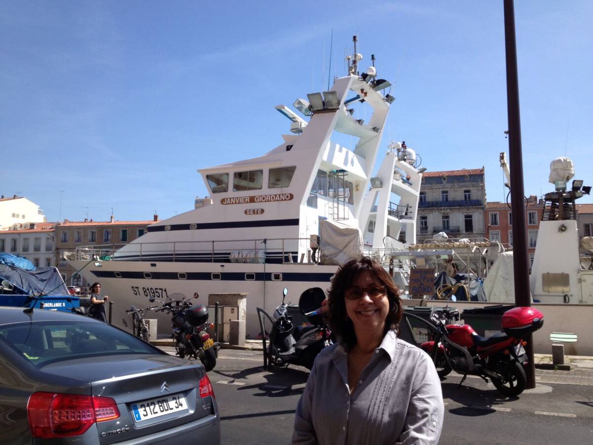 Sete 33
