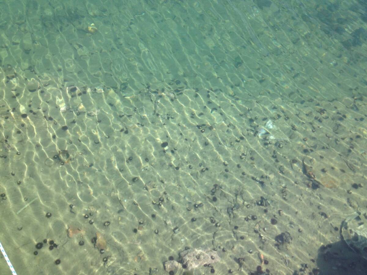 Sete 69 Agua Transparente Do Canal