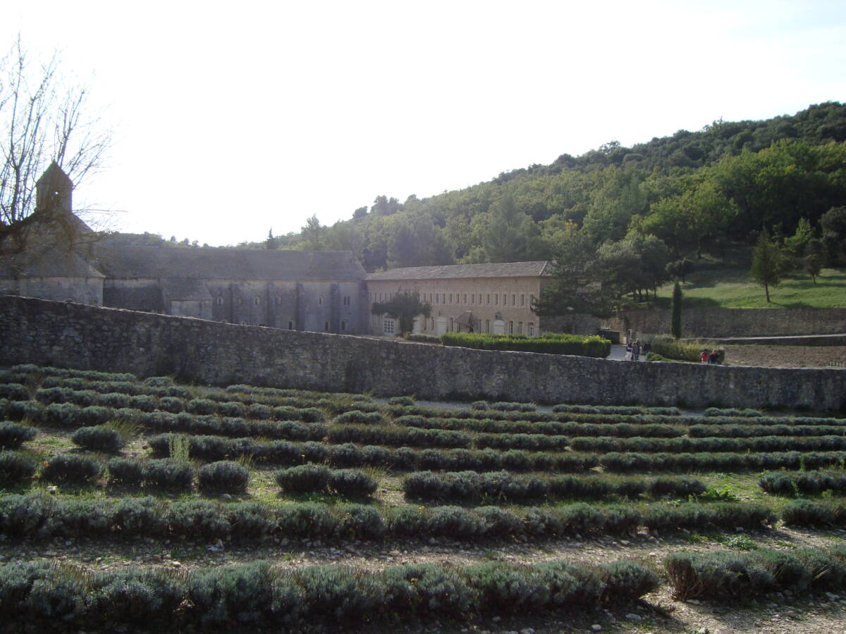 Abadia Senanque2