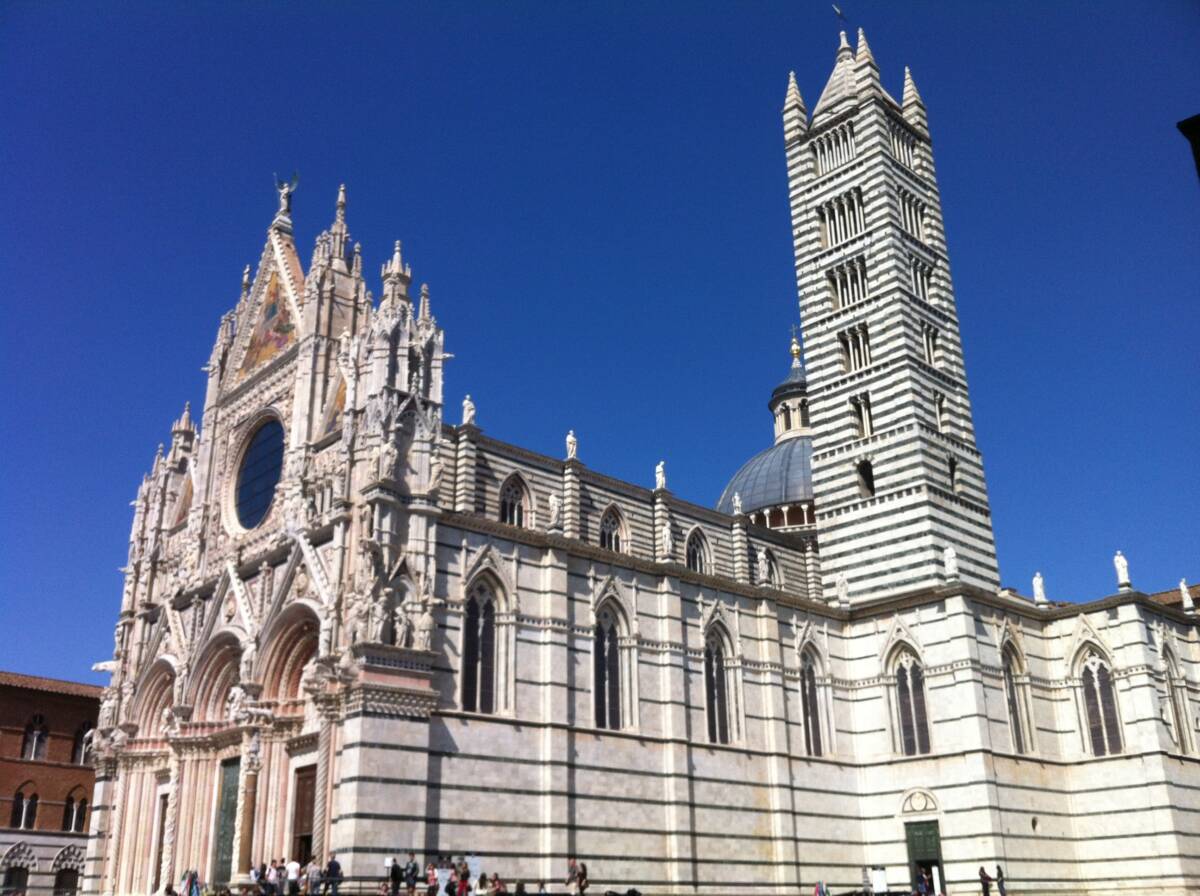 Siena Iphone P 31