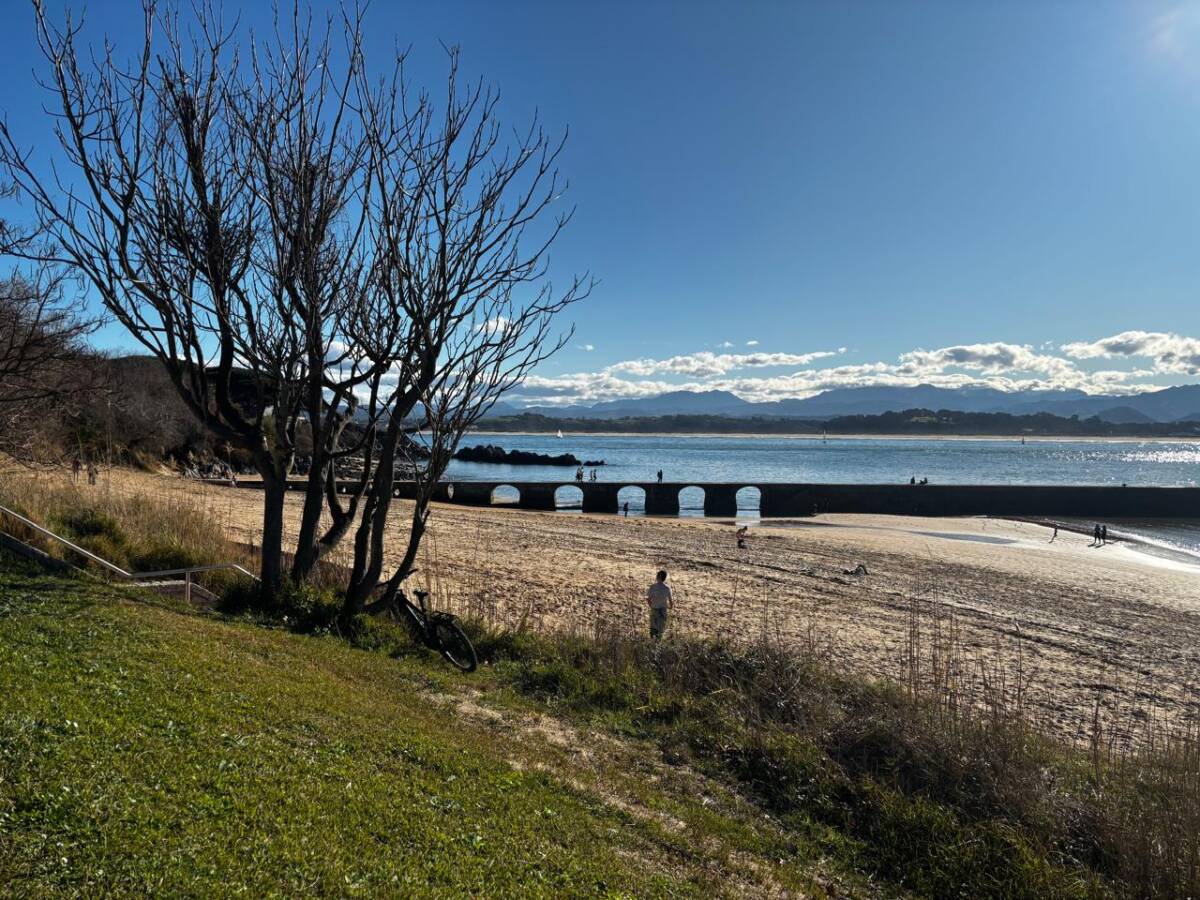 Peninsula Da Madalena (15)