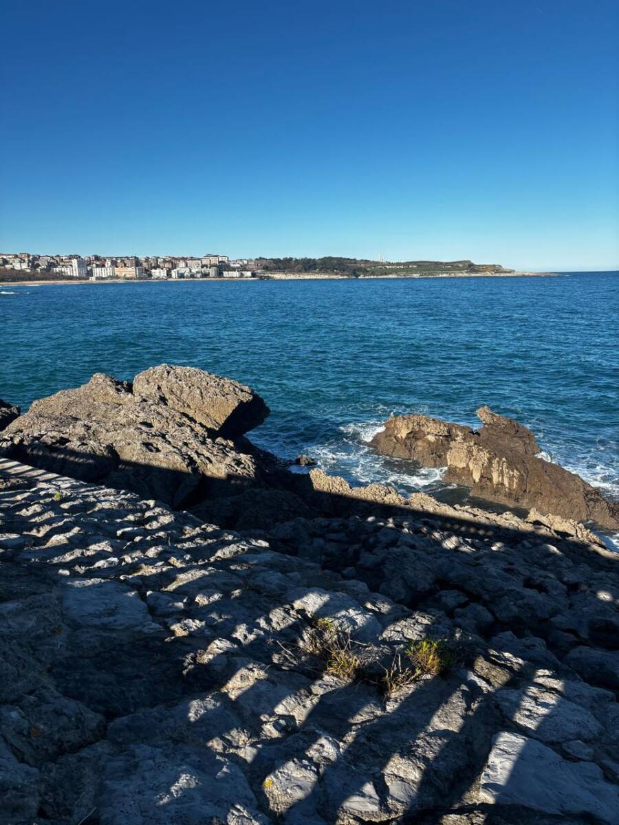 Peninsula Da Madalena (8)